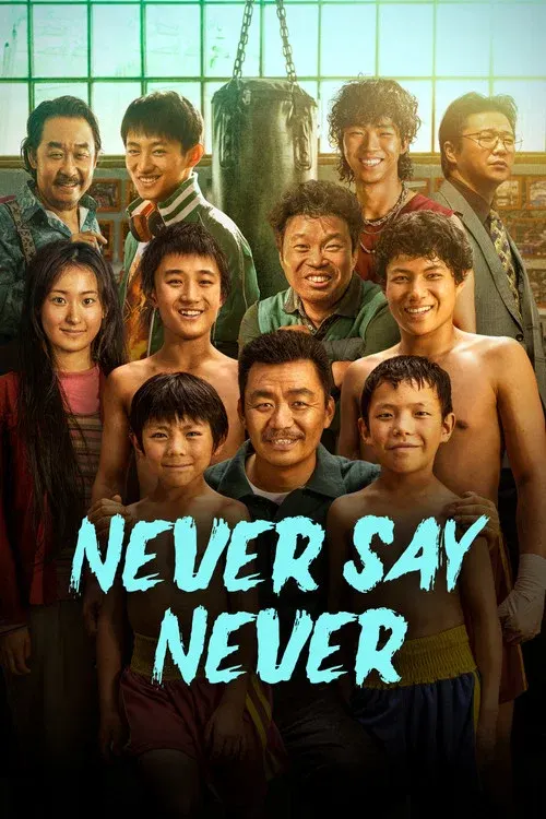 Never Say Never poster