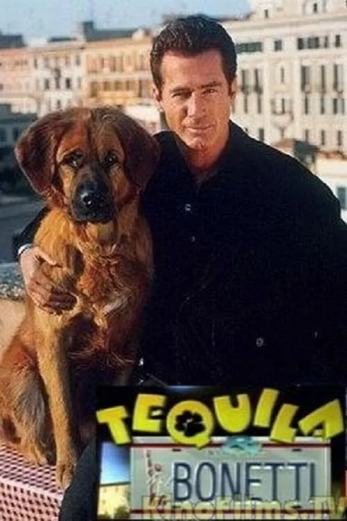 The New Adventures of Tequila & Bonetti poster