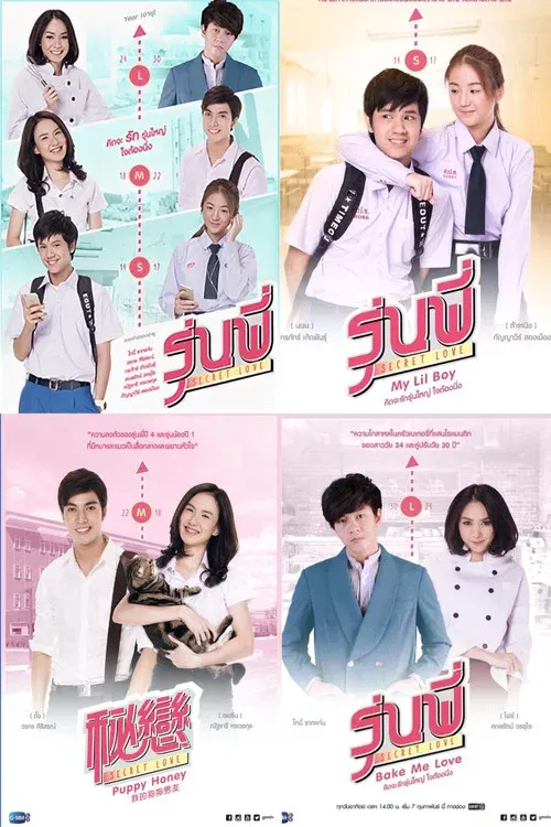Senior Secret Love poster