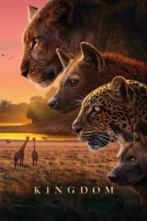 Kingdom poster