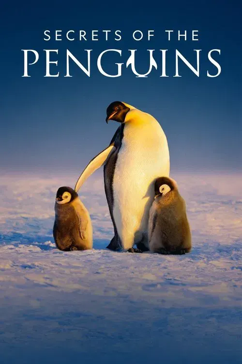 Secrets of the Penguins poster